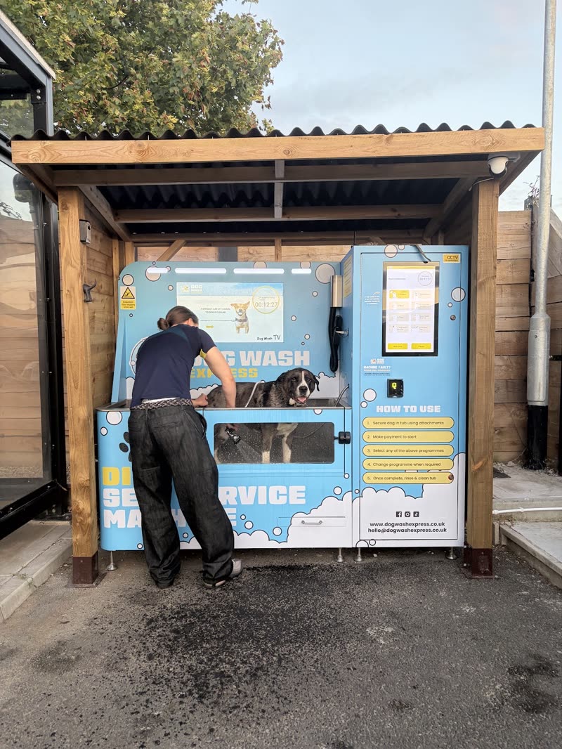 A dog being washed in the blue self-service booth under its timber shelter
